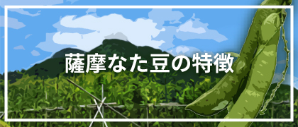 薩摩なた豆の特徴